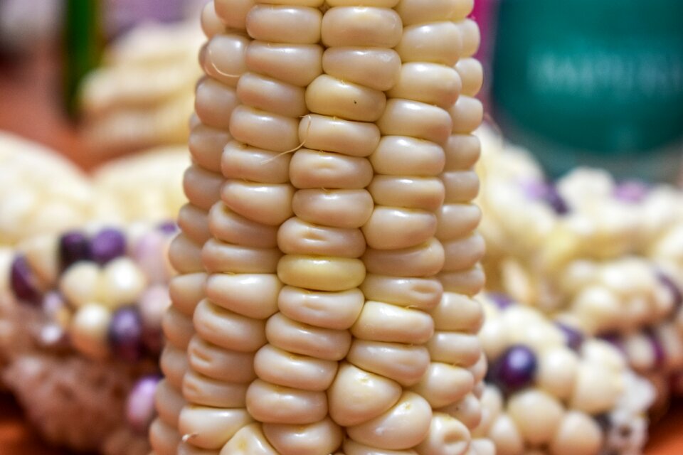 Agriculture gastronomy harvest