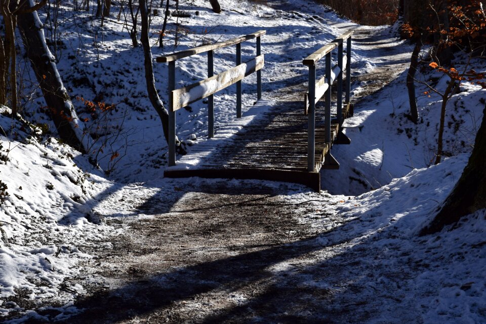 Nature cold landscape