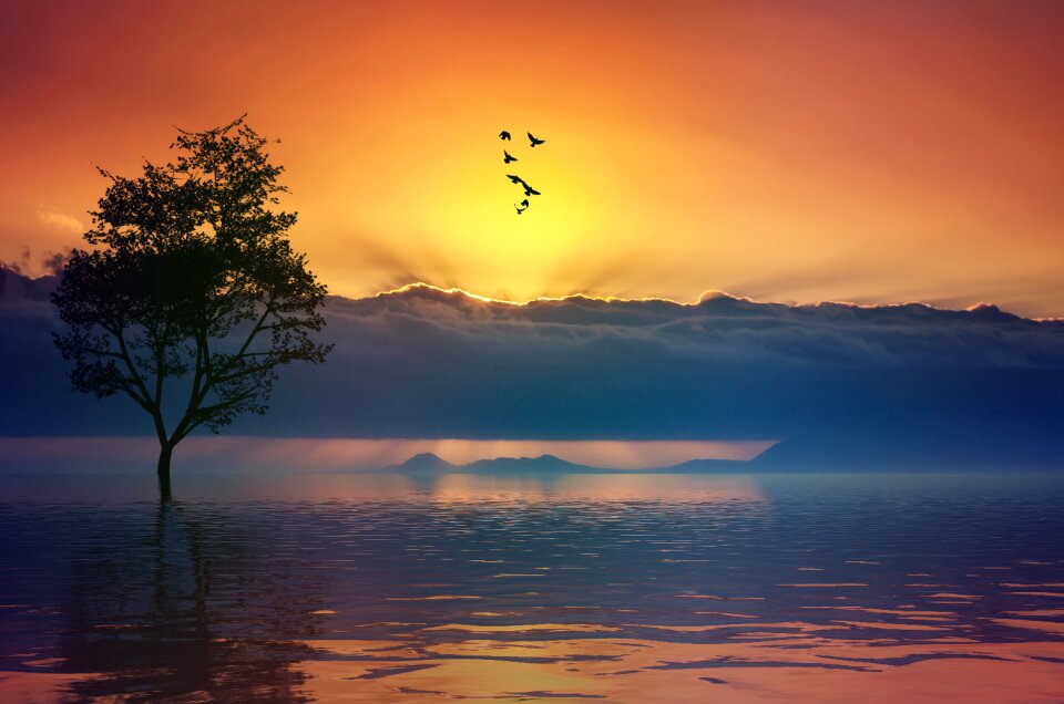 Sunset sky ocean