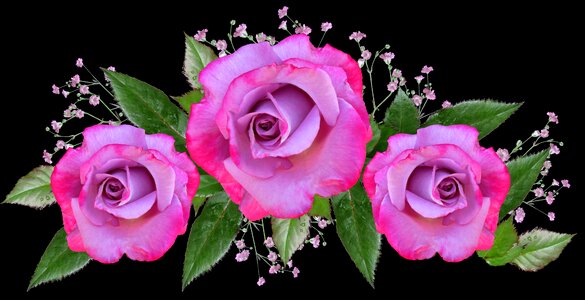 Arrangement floral decoration garden