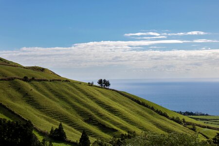 Green pasture rural photo