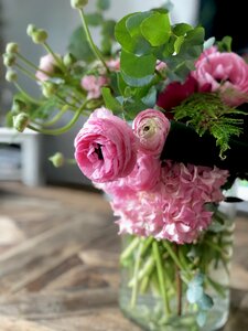 Bouquet flower pink photo