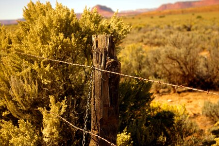 Wire barrier border photo