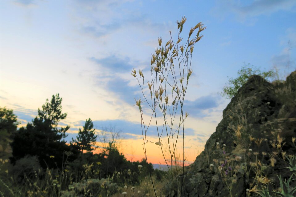 Rural mountain land
