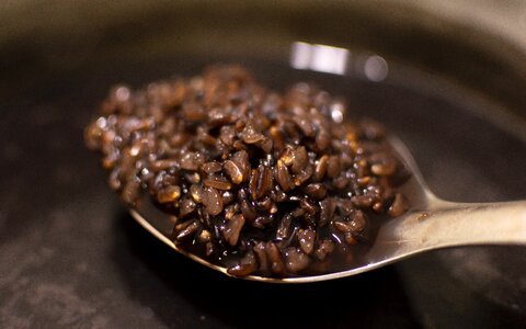 Forbidden rice rice cooking health food photo