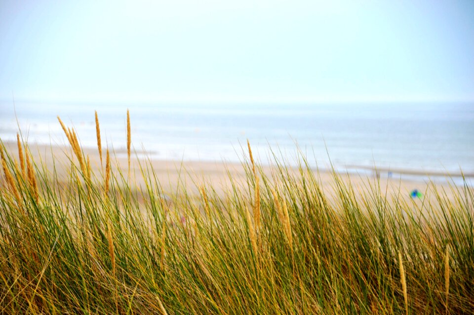 Hauts de france resort sand