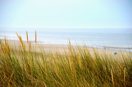 Hauts de france resort sand