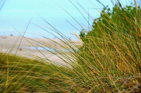 Hauts de france resort sand