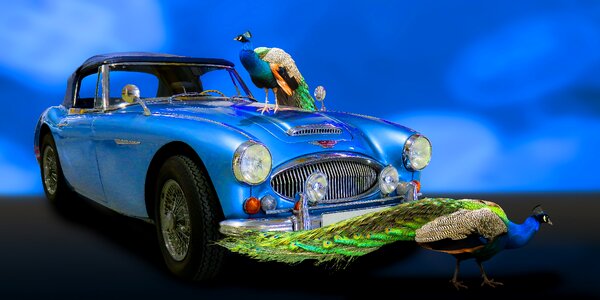 Austin blue sports car