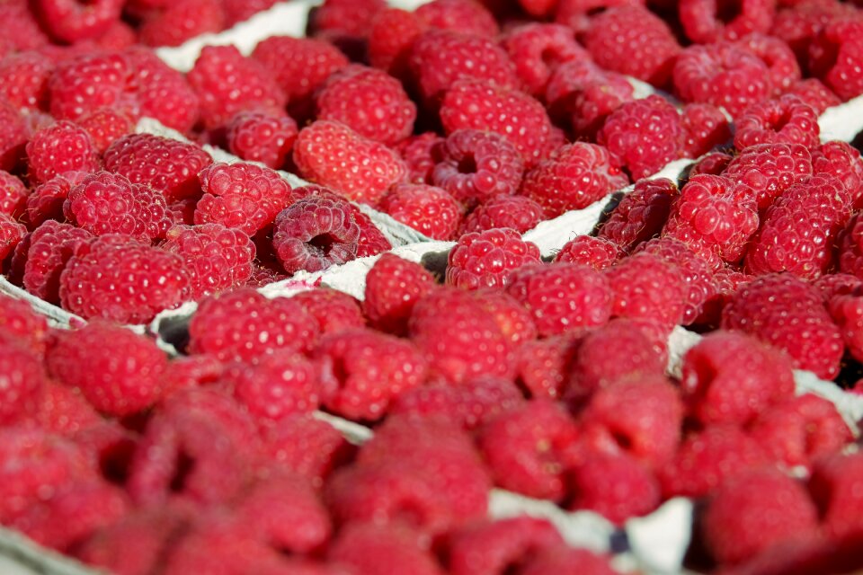 Red berries sweet