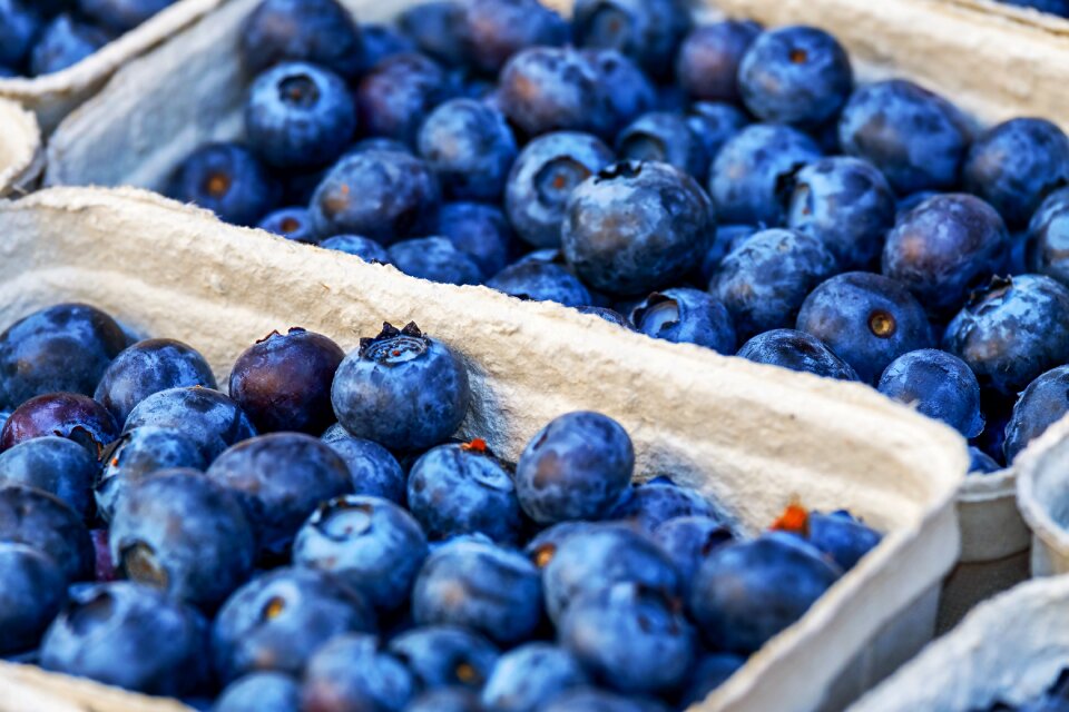 Healthy food vitamins
