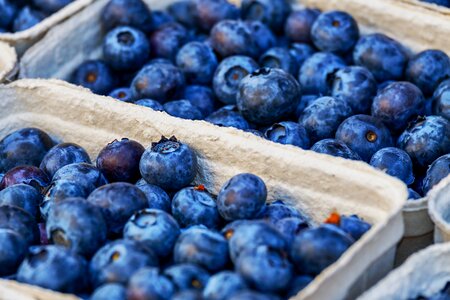 Healthy food vitamins