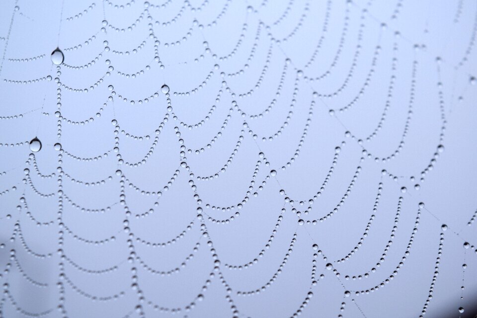 Raindrops web blue web