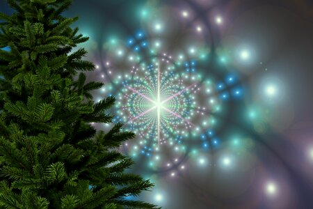 Lights star snowflakes