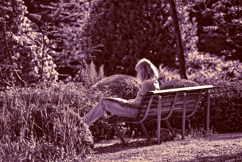 Reading bench garden
