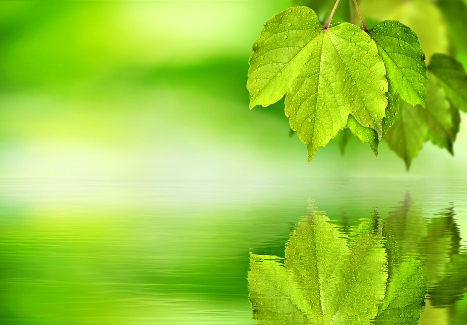 Mirroring water background
