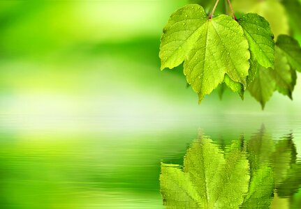 Mirroring water background