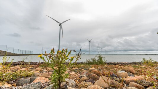 Wind energy wind power environmental technology