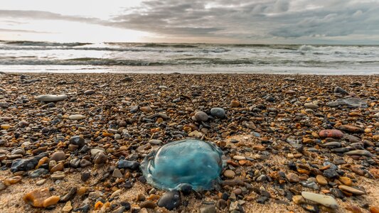 Sea nature blue