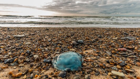 Sea nature blue photo