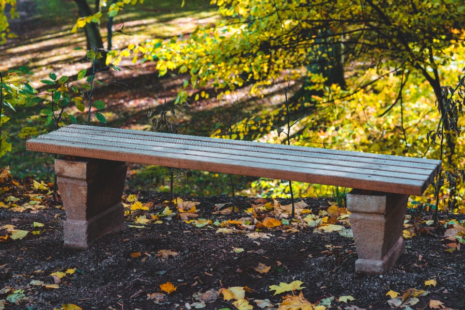 Sit seat bench photo