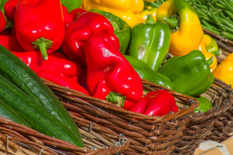 Baskets harvest garden