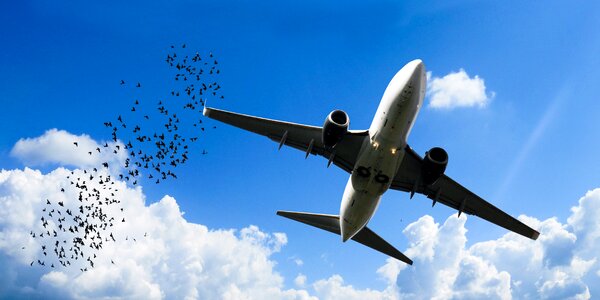 Aircraft tourism sky