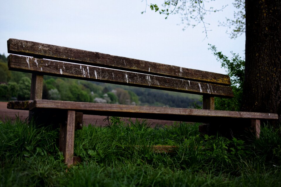 Idyllic old wood bench out