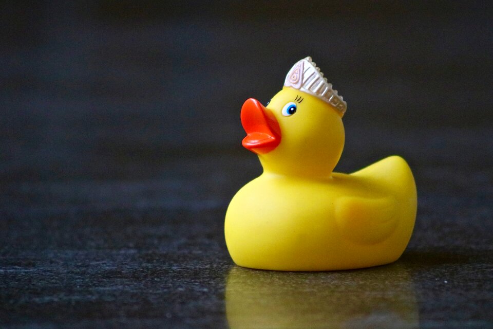 Princess plastic toys