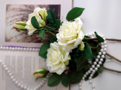 Polka dots pearls book photo