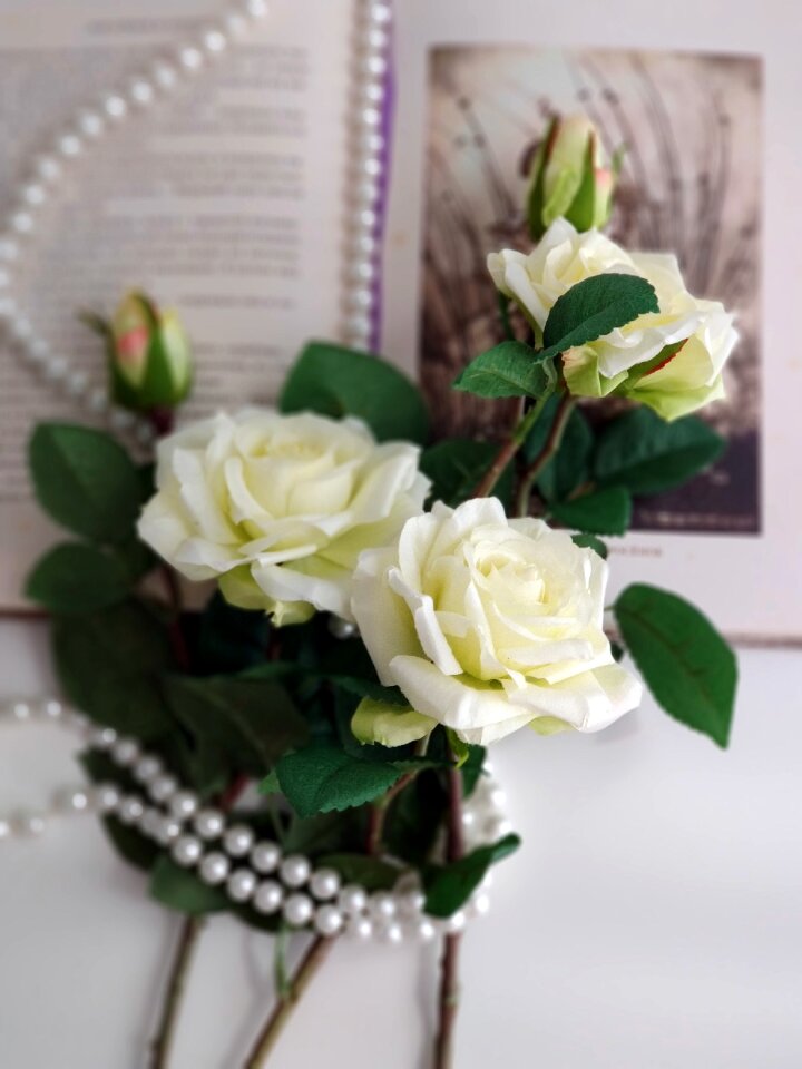 Roses pearls book