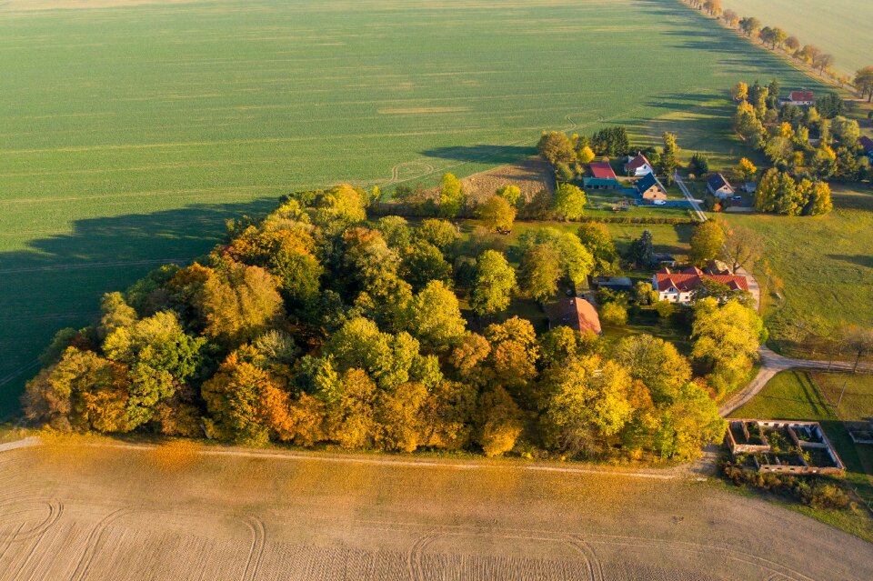 Landscape leaves romantic
