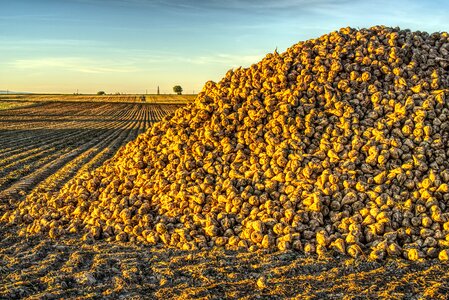 Pile stacked hill