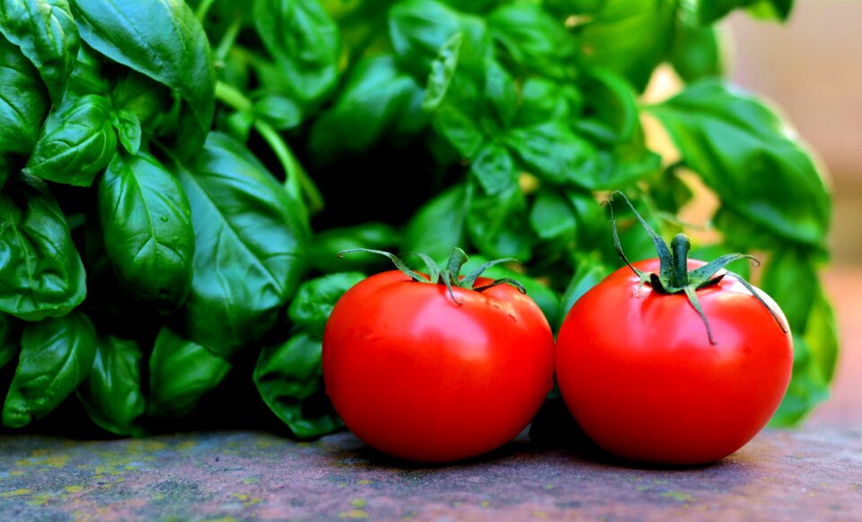 Basil vegetarian food