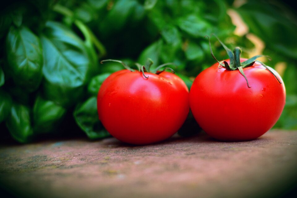 Basil vegetarian food