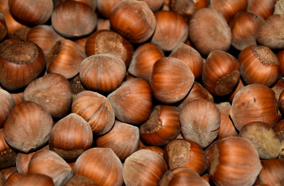 Food walnut bowls