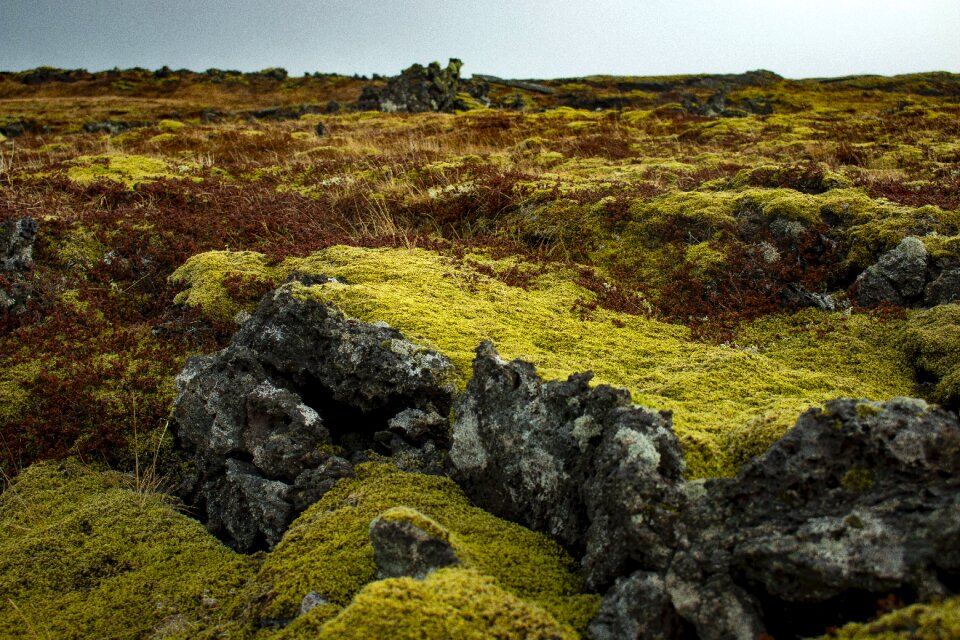 Nature landscape stones photo