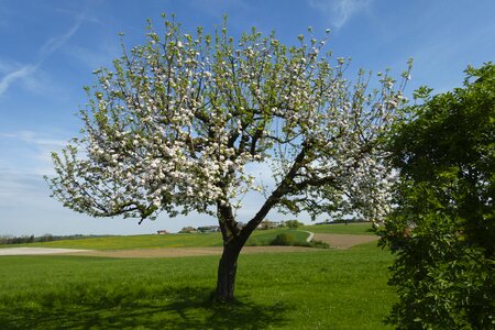 Landscape season spring