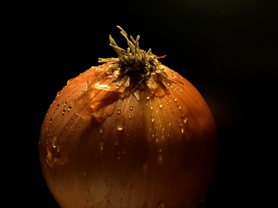 Power vegetables vegetable