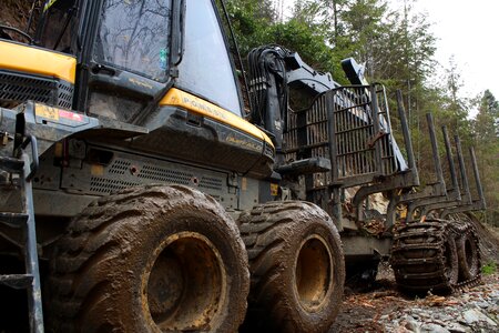 Forestry truck timber forwarder logging