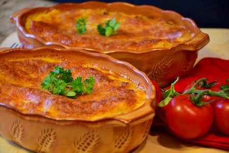 Tomatoes baking dish ceramic mould