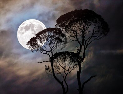 Moonlight night landscape photo