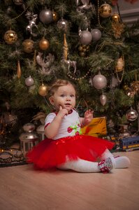 Holiday christmas winter
