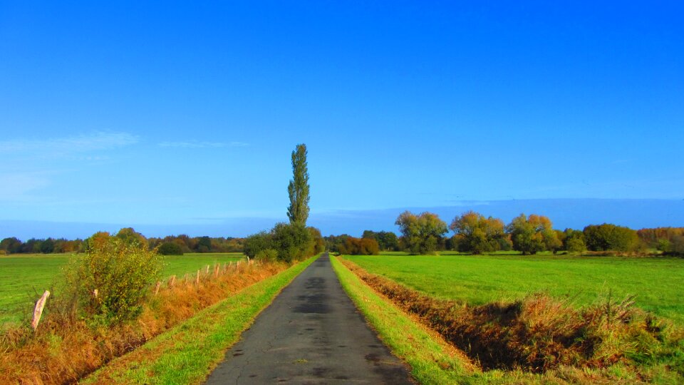 Nature landscape summer photo