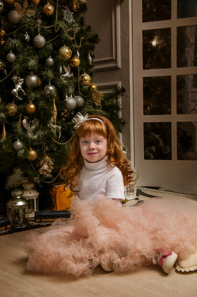 Holiday christmas winter