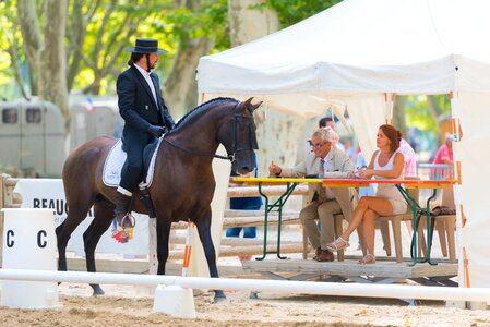 Horses horseback riding jumper photo