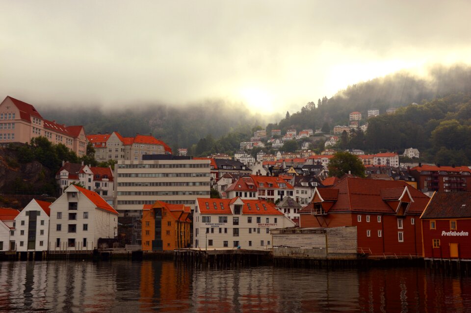 Port fog morning