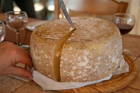 Sheep cut milk