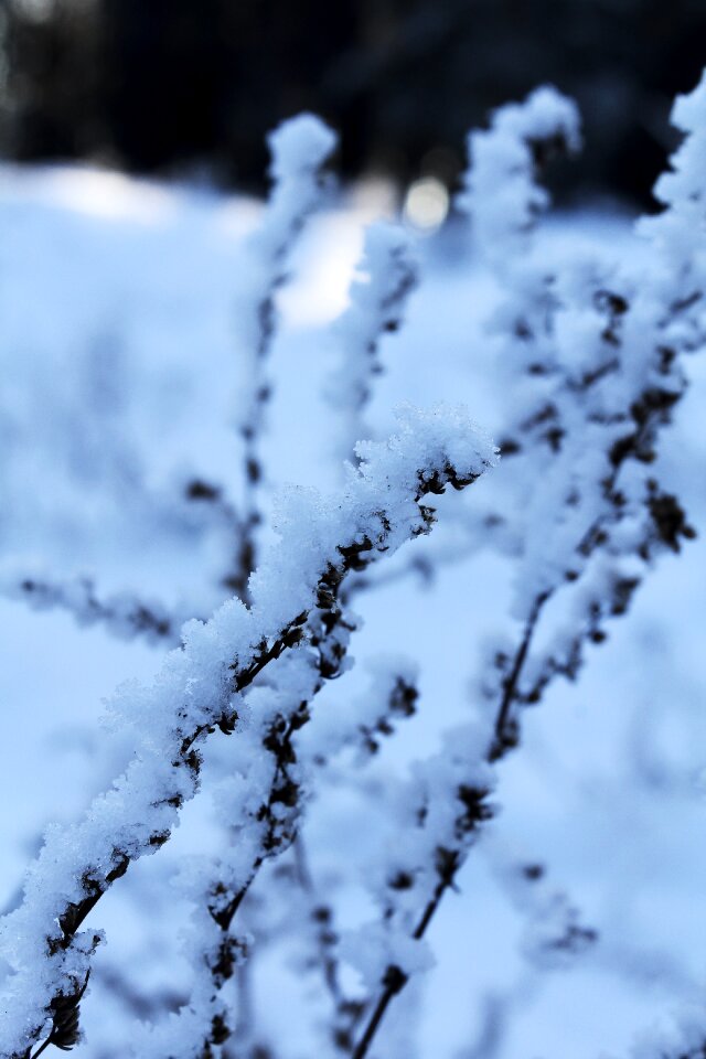 Blue ice holiday