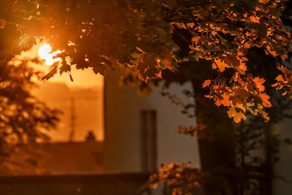 Backlighting sunlight sun